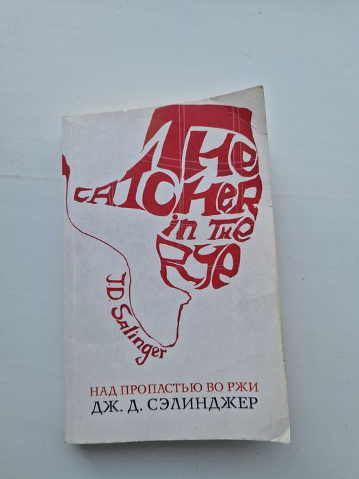Над пропастью во ржи, книга