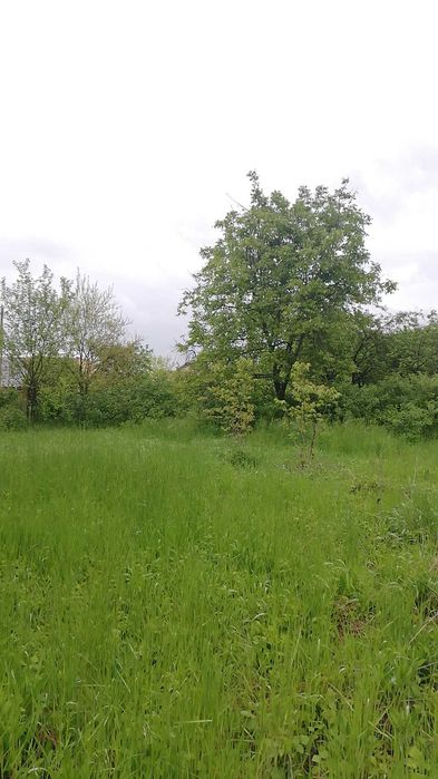 Vând teren in Tg. Mures, suprafata de 4512 mp si Casa sediu firma