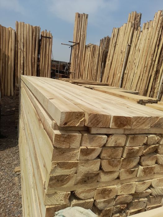 ARZON TERAK masulotlari