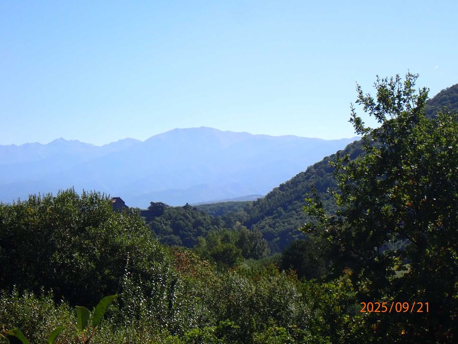 Teren intravilan de 1409 mp cu PUZ - Cisnadioara, strada Cireşilor