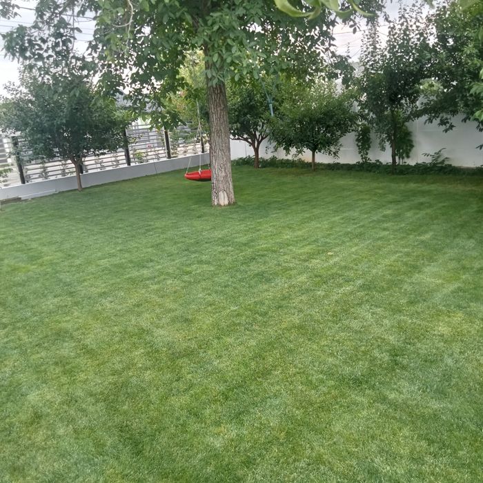 Prestări servicii