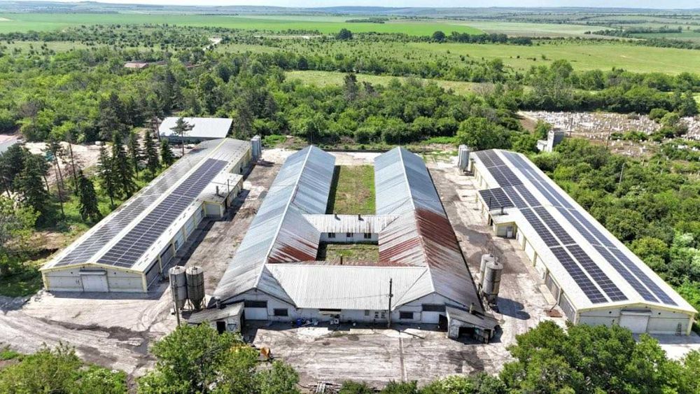 Действаща птицеферма за продажба в с. Борисово