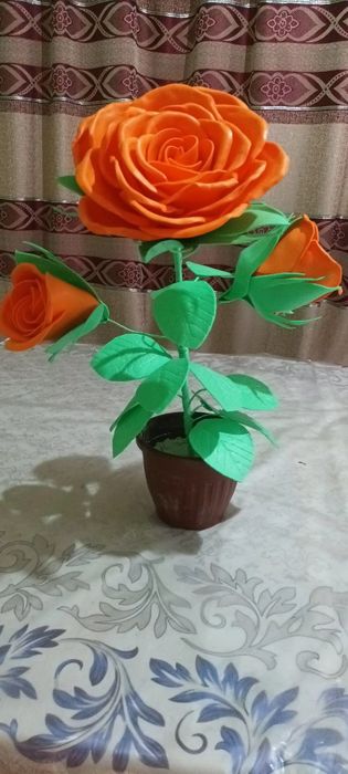 Gul Juda chiroyli ko'rinishga ega 
Va xashamatli
Gul narxi 10