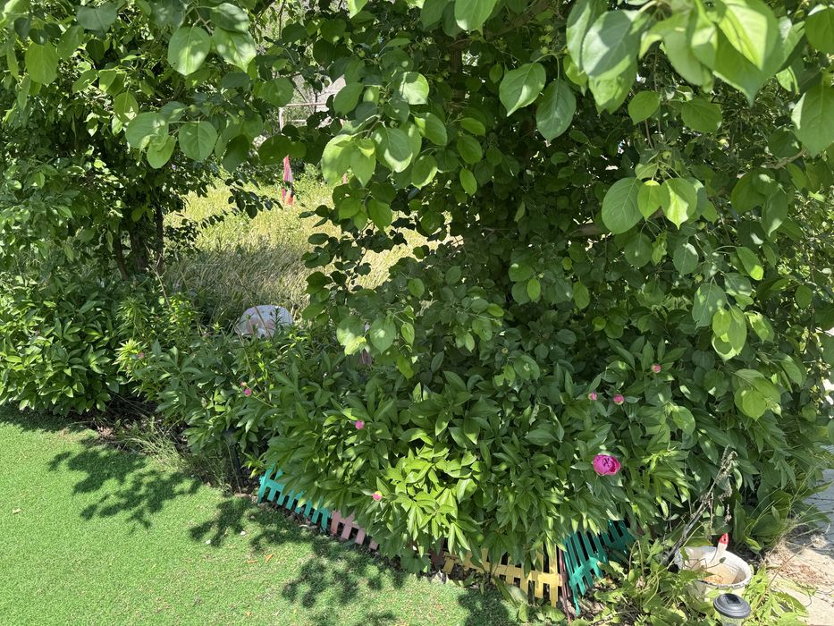 Продам дачу в отличном состоянии