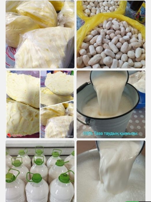 Натуральный кымыз. Шубат. Кумыс. Қымыз. Шұбат. Курт, Құрт,