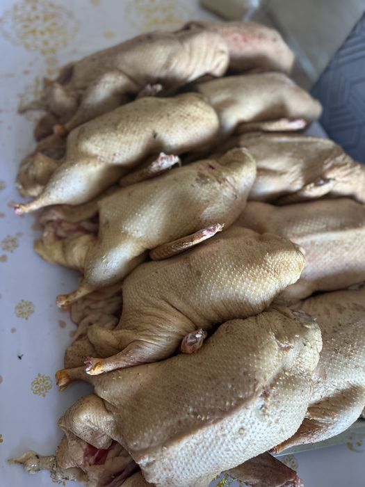 Продам утиные тушки