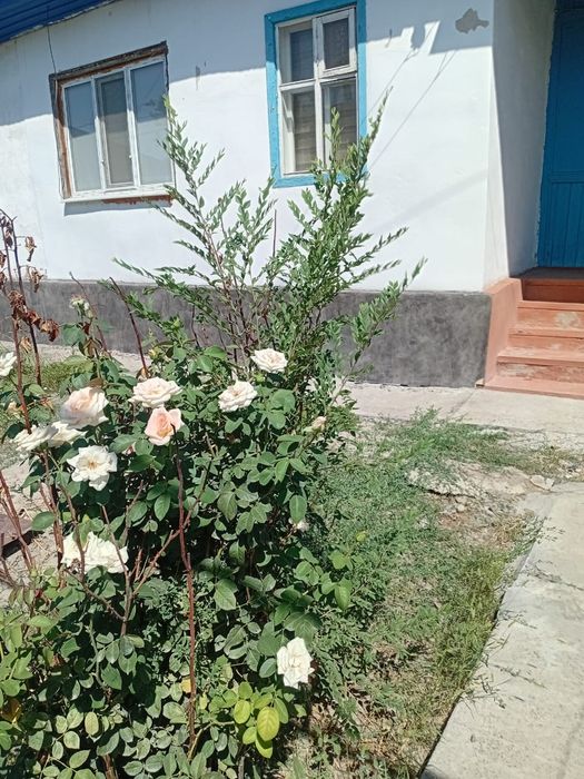 Продается квартира