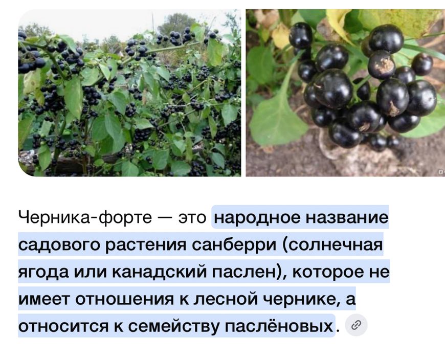 Продам санберри 5000