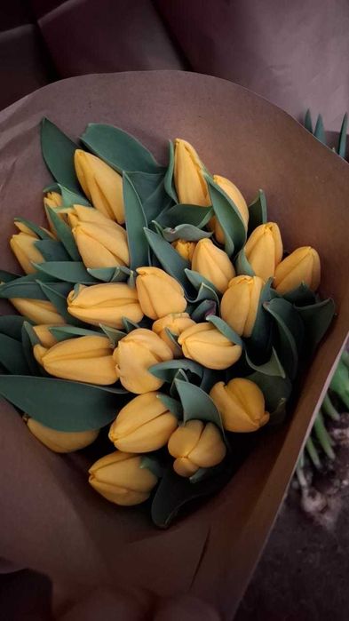 Тюльпаны в Алматы, свежи срезанные .