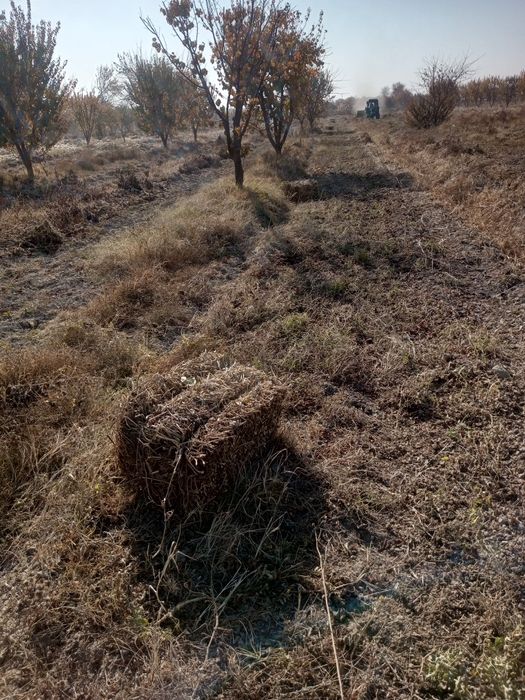 Мол ва куйлар учун Хашак пресс сотилади