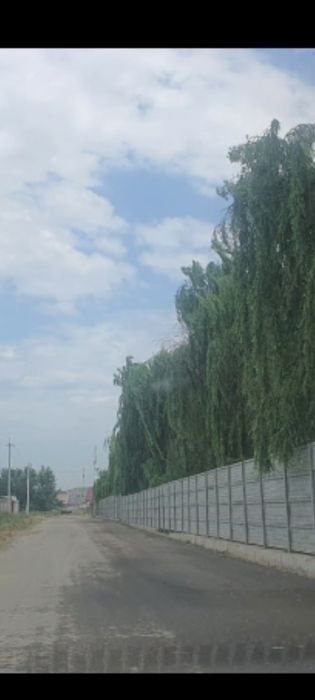 Ахмад Яссавий от 1 гектара до 5 ти  гектаров земля  логистика