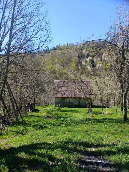 Casă de vânzare în Bucium (Alba) cu teren generos, apr