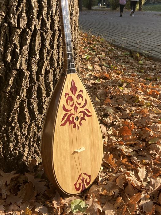 Домбыра Детский Чехолымен ТЕГІН ЖЕТКІЗУ