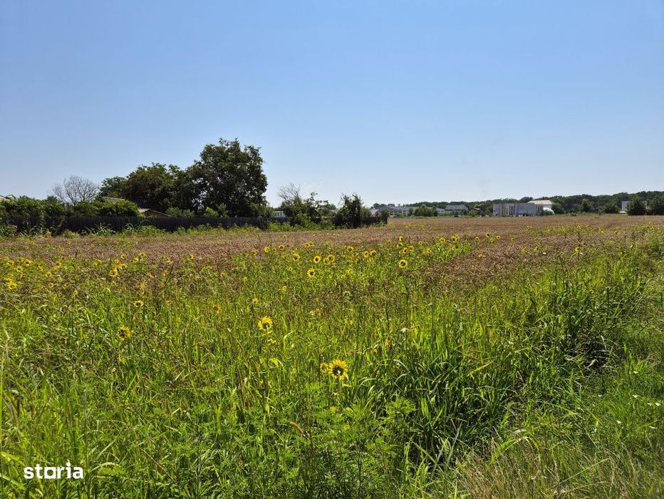 Teren de 785mp cu deschidere dubla 23/34m, strada principala Cioflicen