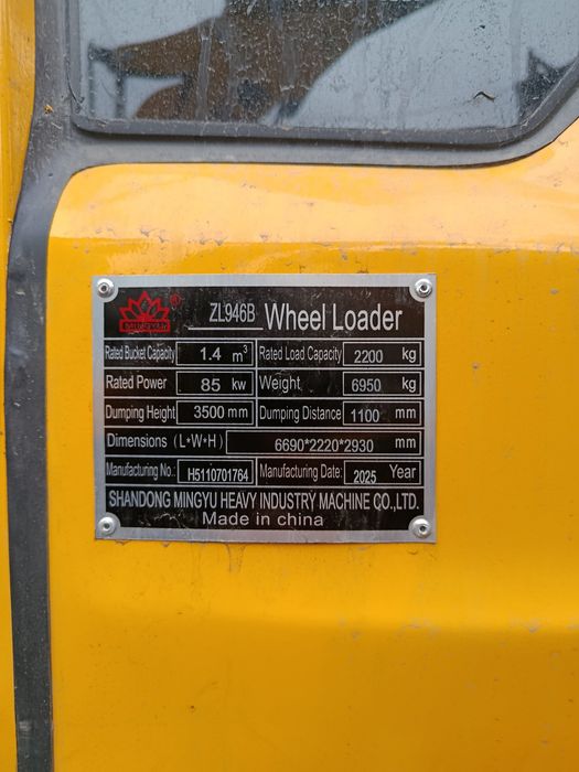 Mingyu Brenddan Mixser Pagruzchik