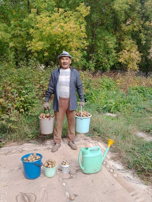 Продаю дачу на ПК оптимист