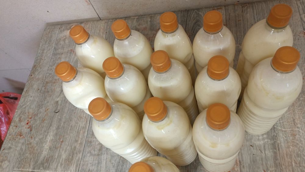 Кумус қымыз натуралды даставка бесплатно