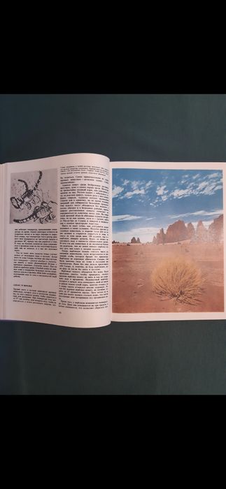 Африка на Л.Браун от 1976 година