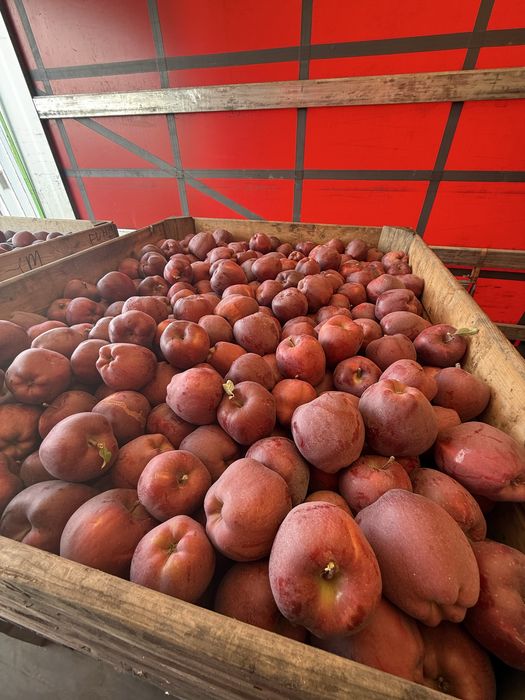 Vând Mere De vanzare De Polonia Calitate Extra orice soi