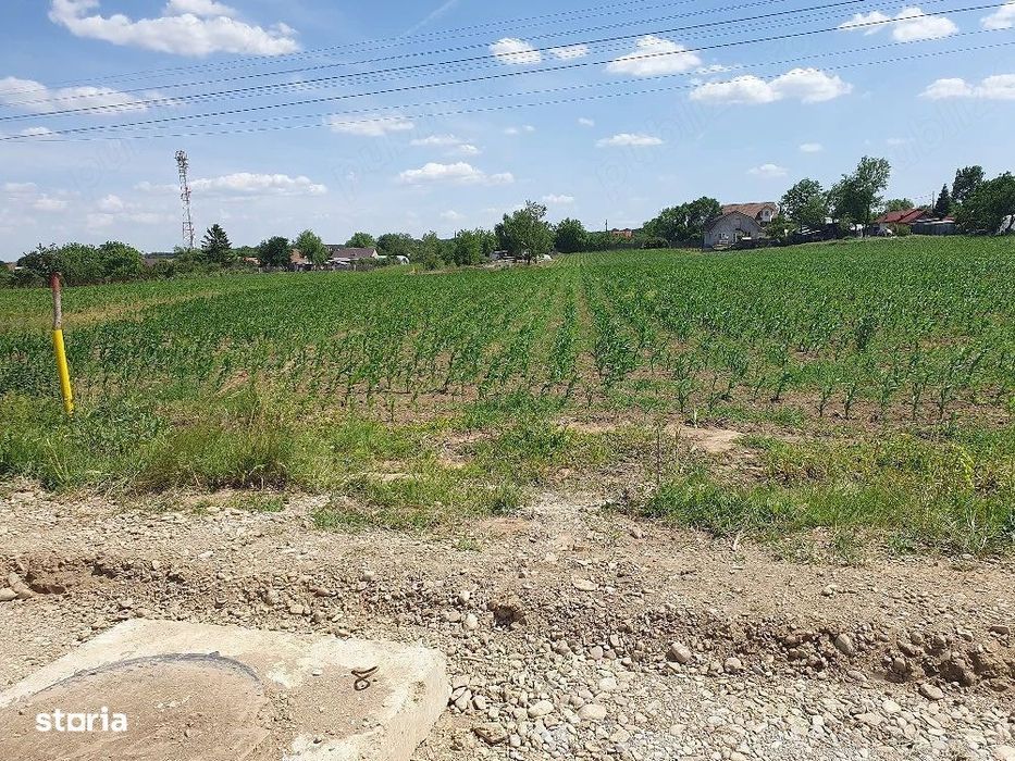 Teren intravilan 1.000 mp | Moara Vlăsiei | Strada Berzei
