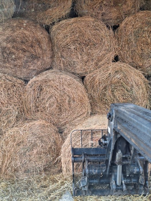 Baloți Lucernă fîn paie de vînzare