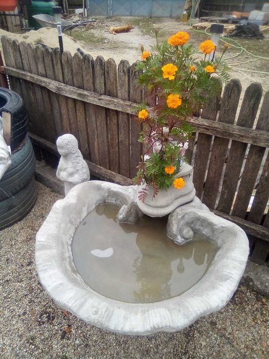 aparenta rigole coame gard