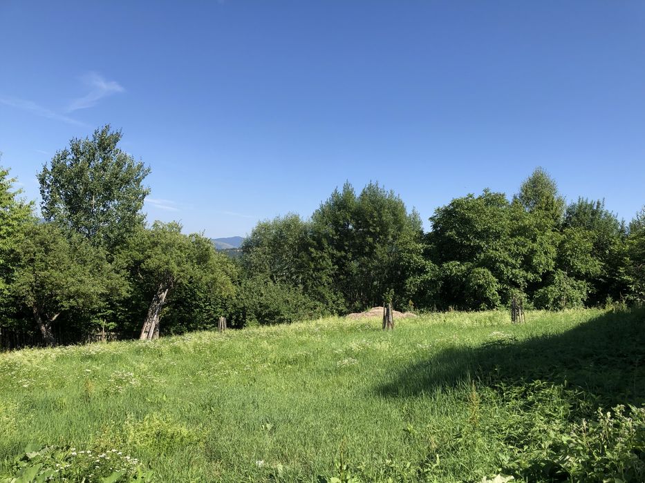 Teren intravilan de vânzare în localitatea Ceahlău 13.000 mp