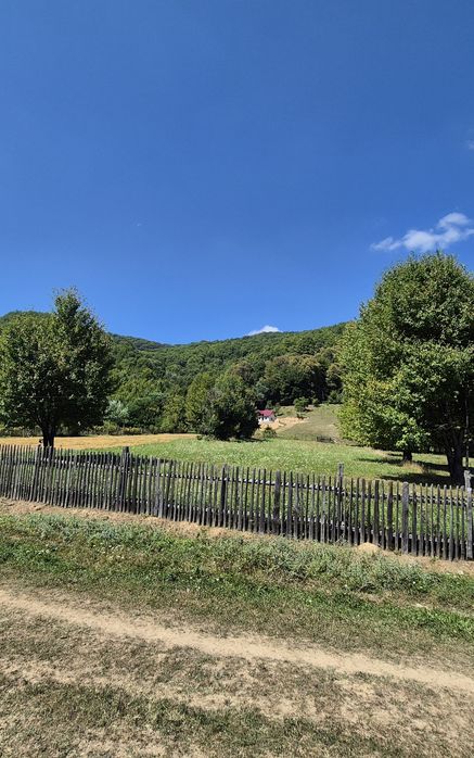 Teren Intravilan 1900 mp