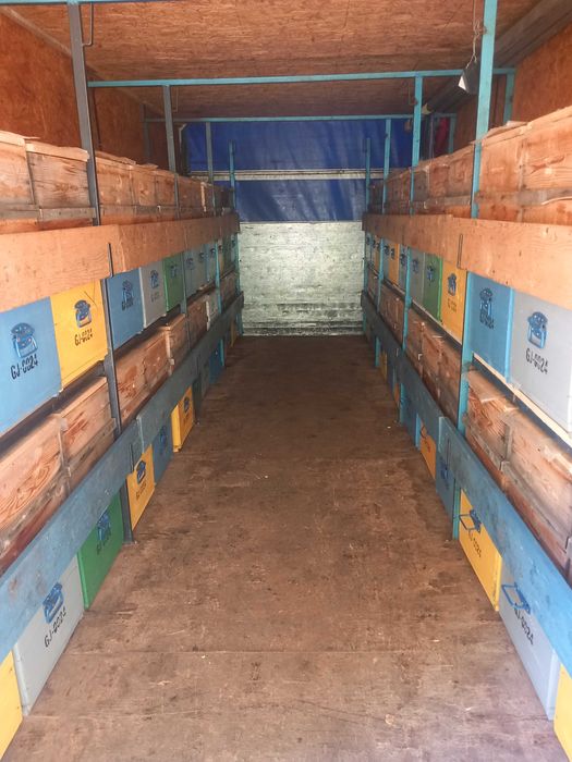 Vind familii de albine si camion apicol