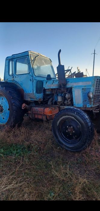 трактор мтз 80 Беларус