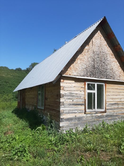 Продам пасеку в .