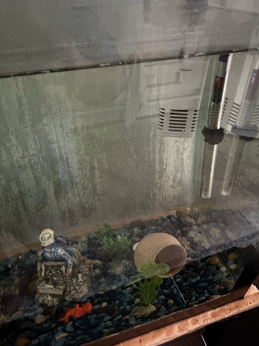 Аквариум сатылады ішіндегі заттарымен