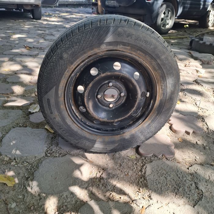 На запаску накаченная