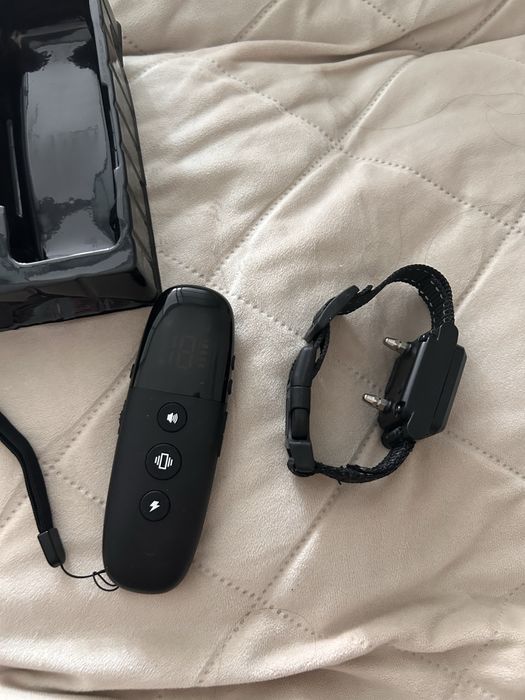 Ошейник для дресиррвки собак