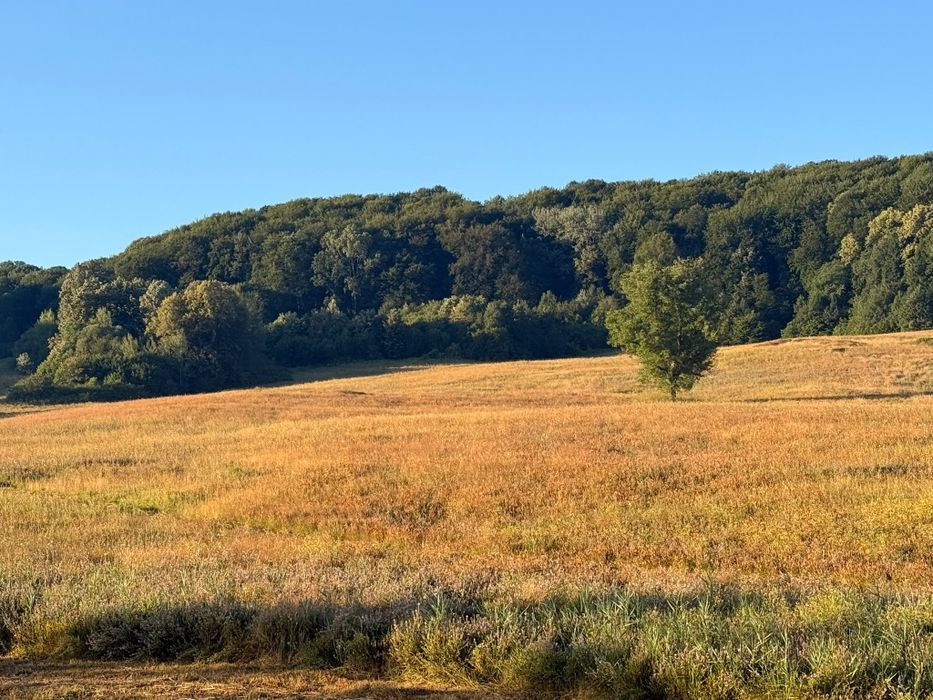 Vând baloți de fân natural
