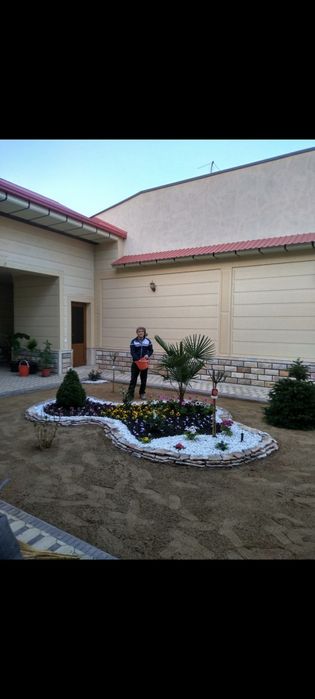 Газон афтоПалиф ландшафтный