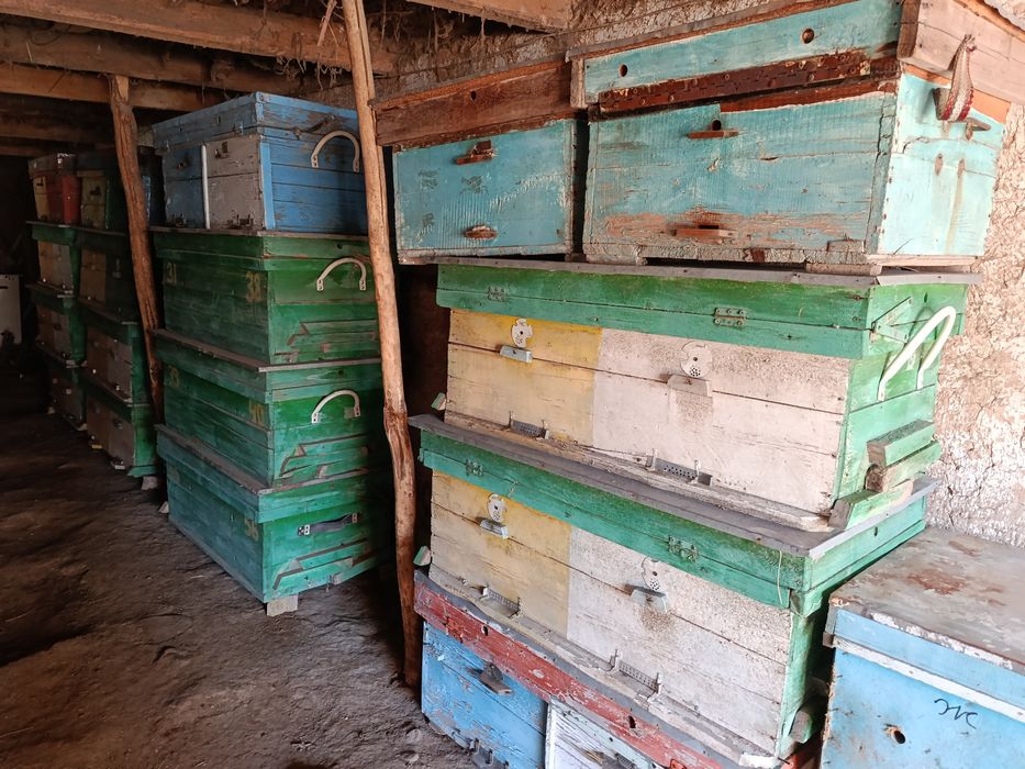 Asalari yashiklari komplekt