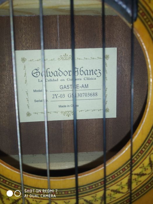 Guitar classic (Gitara)