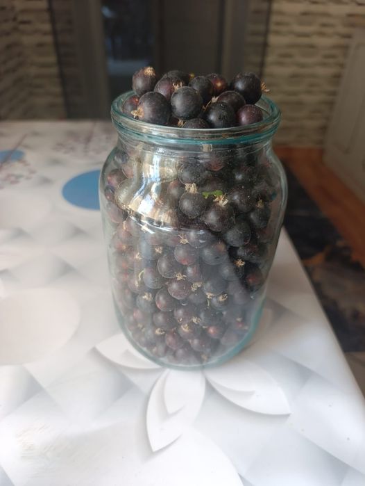 Продам черную смородину