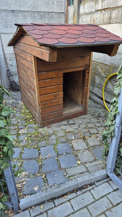 Vand cusca pentru caine