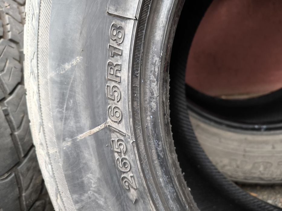 Шины Сяйлун 265/65-18