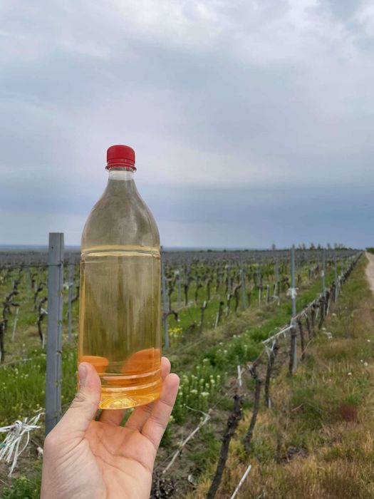 Suc Crama Vrancea En-gros