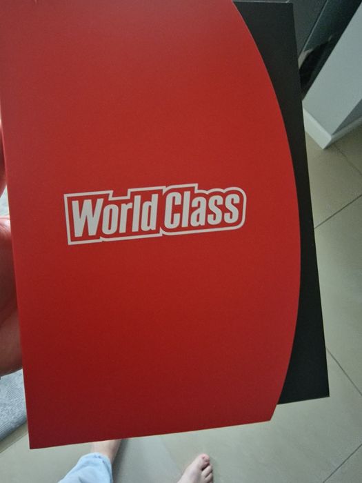 Сертификат Word Class