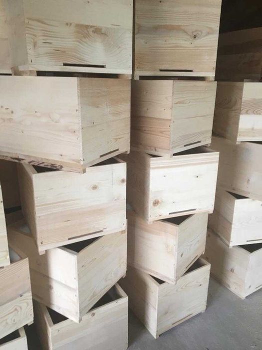 Stupi albine DADANT-  orice tip cu preturi începând de la 155 lei/buc.