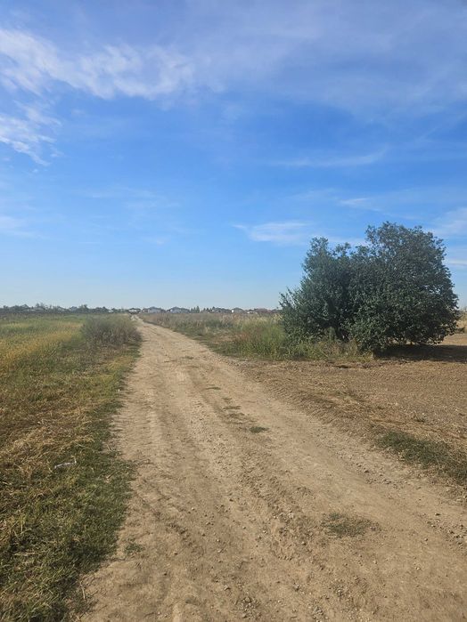 Oportunitate Investiție – Dezvoltare Rezidentiala - Teren 24.700 mp Zurbaua (Dragomirești-Vale, IF)
