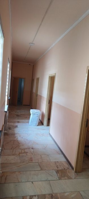 T A L A B A L  A R,  faqat O'g'lbollar  u