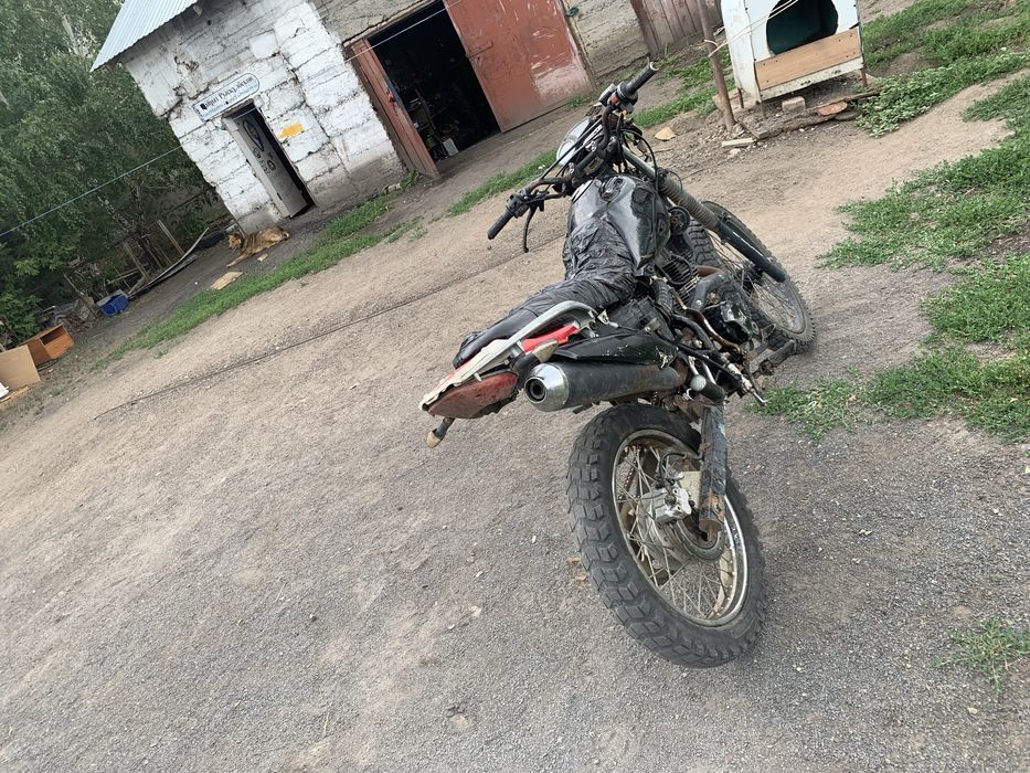 Зид 2019 Лис 250 куб