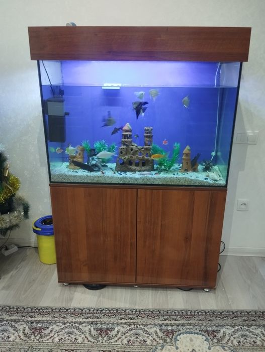 Аквариум срочно сотилади