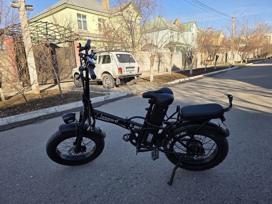 электро велик леопард