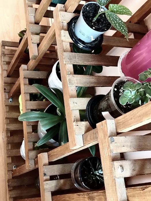 Стеллаж для цветов б/ у